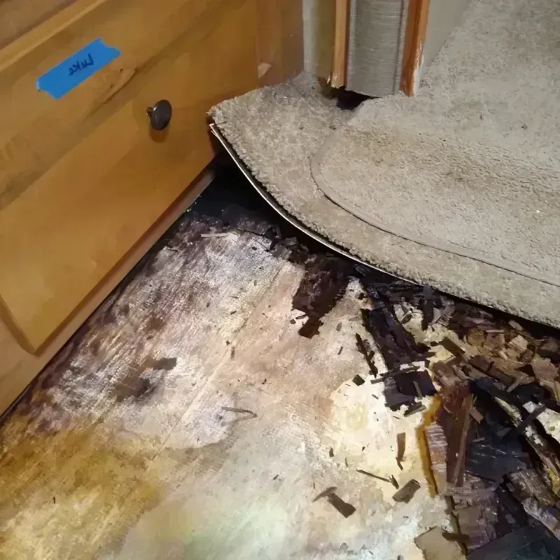 Wood Floor Water Damage in Mount Vernon, OH